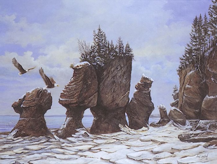 Winter Visitors