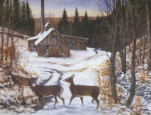 Sugar Shack
