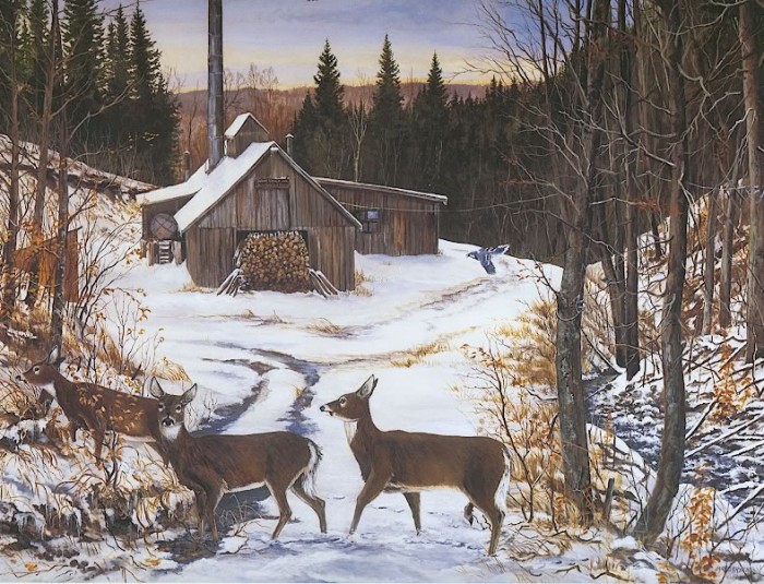 Sugar Shack