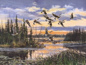 Beaver Pond Visitors