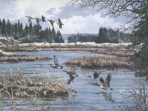 Springtime Geese