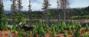 Moose