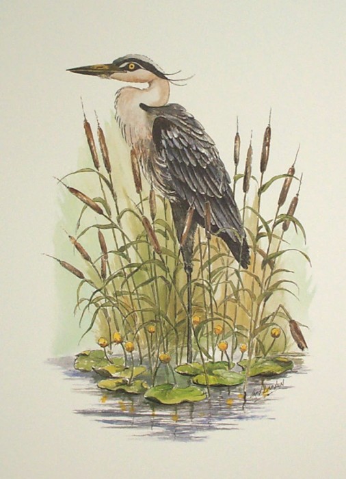 Heron II