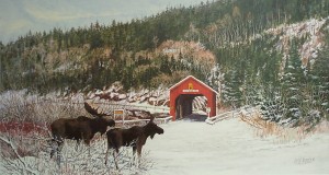 Off Season-Fundy National Park 