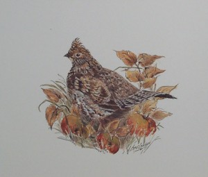 Grouse