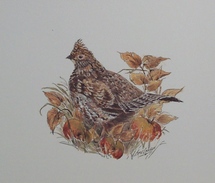 Grouse