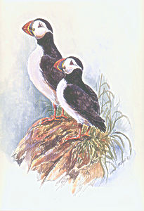 print1
