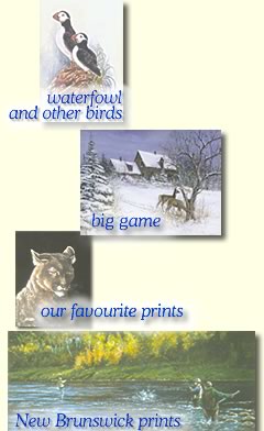 Browse our prints Browse our prints
